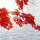 東公園紅葉④