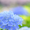 blue in blue