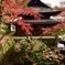 定光寺の紅葉