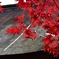 定光寺②