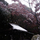 雪の六義園