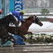 雪の浦和競馬