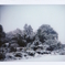 初雪