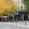 銀杏並木２