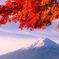 和