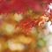 ちょっと近くの紅葉1