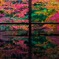 瑠璃光院
