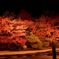 天授庵 紅葉