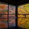 瑠璃光院