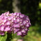 RIMG0213