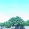 RIMG0251