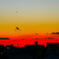 夕焼け グラデーション