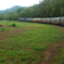 アーミーダック鉄道