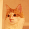 じーーーっと