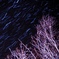 流雪群