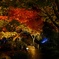 紅葉のライトアップ2
