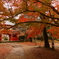 近所の紅葉（清水公園）