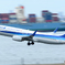 ウイングレット