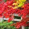 筑波神社
