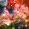 彩り