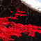 茅葺の屋根から雪解け水　平林寺にて