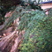 DSC00548clrSRSLK