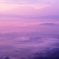 紫景