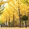 洞峰公園