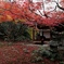 京都　