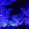 青の洞窟