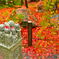 地蔵と紅葉と