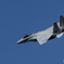 2016 岐阜基地航空祭
