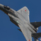 2016 岐阜基地航空祭