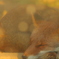 …zzz