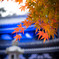 長谷寺①