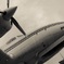 飛行機