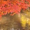 紅光