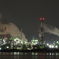 夜だけの姿