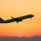 FLY AWAY