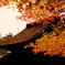 DSCF2423