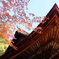DSCF2460