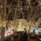 PAGEANT OF STARLIGHT ①
