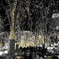 PAGEANT OF STARLIGHT ②