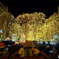 PAGEANT OF STARLIGHT ③