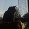 窓ねこ(代表)