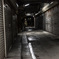 シャッターチャンス