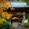 薬王院