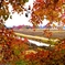 Fall