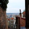 DSCF5345