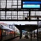 fullsizeoutput_5
